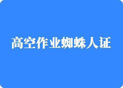 日韩老阿姨大操逼高空作业蜘蛛人证